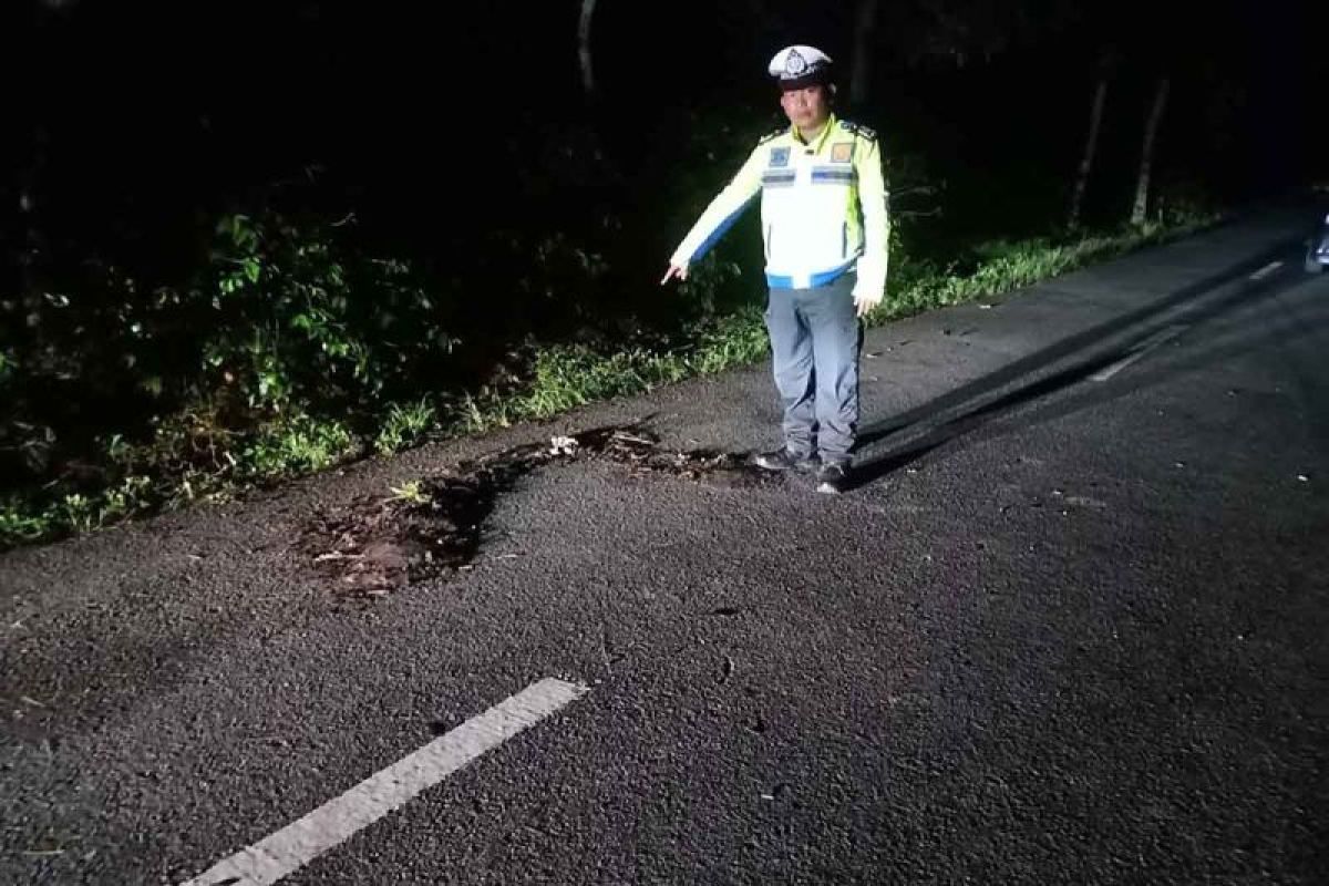 Kecelakaan lalu lintas menjadi salah satu isu serius yang kerap terjadi di Indonesia, termasuk di kabupaten Bener Meriah, Aceh. Kejadian tragis yang melibatkan dua pemotor ini menambah daftar panjang insiden yang merenggut nyawa di jalan raya. Kecelakaan ini tidak hanya menyisakan duka bagi keluarga korban tetapi juga memunculkan banyak pertanyaan tentang faktor penyebab, keselamatan berkendara, dan upaya pencegahan yang harus dilakukan. Dalam artikel ini, kita akan membahas secara mendalam mengenai kecelakaan yang terjadi, faktor penyebabnya, dampaknya terhadap masyarakat, serta langkah-langkah pencegahan yang dapat diambil untuk mengurangi risiko kecelakaan di masa depan. 1. Kronologi Kecelakaan Kecelakaan yang merenggut nyawa dua pemotor di Bener Meriah terjadi pada sore hari yang cerah, di mana kondisi cuaca tidak menunjukkan tanda-tanda buruk. Menurut informasi yang diperoleh dari saksi mata, kedua pemotor tersebut melaju dengan kecepatan cukup tinggi di jalan raya yang menghubungkan beberapa desa di daerah tersebut. Tiba-tiba, salah satu pemotor mencoba berbelok tanpa memberikan sinyal yang jelas kepada pengendara lainnya. Kondisi jalan yang sedikit menurun dan tikungan tajam menjadi faktor penambah risiko dalam insiden ini. Akibatnya, kedua pemotor yang berada di jalur berlawanan tidak dapat menghindari tabrakan. Kecelakaan ini mengakibatkan kedua pemotor terjatuh dan mengalami luka parah. Masyarakat sekitar bergegas memberikan pertolongan, tetapi sayangnya, upaya tersebut tidak berhasil menyelamatkan nyawa mereka. Kecelakaan ini menjadi sorotan publik dan menarik perhatian pihak kepolisian untuk melakukan penyelidikan lebih lanjut. Dalam analisis lebih lanjut, dapat diidentifikasi bahwa kecepatan yang berlebihan dan kurangnya komunikasi antara pengendara menjadi faktor kunci yang berkontribusi pada kecelakaan ini. Kejadian ini juga mengingatkan kita tentang pentingnya menerapkan aturan dan etika berkendara yang baik. Tanpa kesadaran akan keselamatan, risiko kecelakaan di jalan raya akan selalu ada. 2. Faktor Penyebab Kecelakaan Kecelakaan di Bener Meriah ini tidak hanya sekadar kejadian yang disebabkan oleh ketidakberuntungan semata. Sebaliknya, ada beberapa faktor yang mendasari terjadinya insiden tersebut. Di antara faktor tersebut, perilaku pengendara, kondisi jalan, dan faktor lingkungan menjadi perhatian utama. Pertama, perilaku pengendara sangat mempengaruhi keselamatan berkendara. Dalam kasus ini, kecepatan berlebih dan kurangnya perhatian saat berbelok menjadi masalah yang jelas. Banyak pengendara sering kali mengabaikan batas kecepatan yang ditetapkan dan merasa percaya diri saat berkendara, padahal kondisi jalan bisa berubah-ubah dengan cepat. Selain itu, penggunaan gadget saat berkendara juga menjadi salah satu penyebab utama kecelakaan, karena dapat mengalihkan fokus pengendara. Selanjutnya, kondisi jalan juga memainkan peran penting. Meskipun jalan di Bener Meriah cukup baik, adanya tikungan tajam dan penurunan yang curam meningkatkan risiko kecelakaan. Pemeliharaan jalan yang tidak rutin dapat menyebabkan berbagai masalah, termasuk jalan berlubang atau tanda-tanda lalu lintas yang tidak terlihat. Hal ini membuat pengendara sulit untuk mengantisipasi bahaya. Faktor lingkungan juga tak kalah penting. Cuaca, pencahayaan, dan kondisi lalu lintas dapat mempengaruhi keselamatan berkendara. Meskipun pada saat kecelakaan cuaca baik, berbagai faktor seperti ketersediaan lampu jalan dan kepadatan lalu lintas tetap harus diperhatikan. Dari analisis di atas, jelas bahwa kecelakaan ini tidak bisa dipandang sebagai sebuah insiden yang terpisah, melainkan merupakan hasil dari gabungan berbagai faktor yang saling berkaitan. Upaya untuk memperbaiki keselamatan berkendara harus melibatkan edukasi bagi pengendara, pemeliharaan jalan yang berkala, serta evaluasi terhadap sistem lalu lintas yang ada. 3. Dampak Kecelakaan Terhadap Masyarakat Kecelakaan yang merenggut nyawa dua pemotor di Bener Meriah tidak hanya berdampak pada keluarga korban, tetapi juga memiliki konsekuensi yang lebih luas bagi masyarakat. Pertama-tama, kehilangan nyawa dalam sebuah kecelakaan selalu meninggalkan duka mendalam bagi keluarga yang ditinggalkan. Kehilangan ini tidak hanya berdampak emosional tetapi juga finansial, terutama jika korban merupakan tulang punggung keluarga. Selanjutnya, kecelakaan ini memicu kekhawatiran di kalangan masyarakat mengenai keselamatan berkendara. Media lokal segera meliput kejadian ini, memicu diskusi di kalangan warga tentang pentingnya keselamatan di jalan raya. Hal ini dapat berujung pada peningkatan kesadaran di masyarakat tentang pentingnya mematuhi aturan lalu lintas dan berperilaku hati-hati saat berkendara. Dampak lain yang tidak kalah penting adalah terkait dengan respon pemerintah dan kepolisian. Kecelakaan ini mungkin mendorong pihak berwenang untuk mengambil langkah-langkah preventif, seperti melakukan pemeriksaan rutin, memperbaiki infrastruktur jalan, dan meningkatkan penerapan hukum bagi pelanggar lalu lintas. Kegiatan edukasi dan sosialisasi tentang keselamatan berkendara juga dapat meningkat sebagai respon atas kejadian ini. Akhirnya, kecelakaan ini menjadi pengingat bagi semua pengguna jalan bahwa keselamatan tidak boleh dianggap remeh. Setiap individu memiliki tanggung jawab untuk menjaga keselamatan diri sendiri dan orang lain. Melalui edukasi yang tepat dan kesadaran akan risiko yang ada, diharapkan angka kecelakaan dapat berkurang di masa mendatang. 4. Langkah Pencegahan untuk Mengurangi Risiko Kecelakaan Menghadapi kenyataan pahit dari kecelakaan yang terjadi, langkah-langkah pencegahan sangatlah penting untuk diimplementasikan. Pertama, edukasi kepada pengendara menjadi prioritas. Program-program pelatihan dan sosialisasi mengenai aturan lalu lintas, etika berkendara, dan pentingnya keselamatan bisa diadakan secara berkala. Hal ini dapat melibatkan berbagai elemen masyarakat, mulai dari sekolah hingga organisasi kepemudaan. Selanjutnya, pemerintah daerah perlu melakukan evaluasi dan pemeliharaan rutin terhadap infrastruktur jalan. Penambahan rambu-rambu lalu lintas, perbaikan jalan yang rusak, dan penerangan jalan yang memadai dapat membantu mengurangi risiko kecelakaan. Selain itu, pembangunan jalur khusus sepeda motor dapat menjadi alternatif yang baik untuk memisahkan arus lalu lintas. Penerapan hukum yang ketat terhadap pelanggar lalu lintas juga sangat krusial. Sanksi yang tegas dapat memberi efek jera bagi pengendara yang melanggar aturan. Kegiatan patroli oleh kepolisian perlu ditingkatkan untuk memastikan bahwa pengguna jalan mematuhi semua aturan yang berlaku. Akhirnya, kesadaran individu sebagai pengguna jalan juga perlu dibudayakan. Setiap orang harus memahami bahwa keselamatan adalah tanggung jawab bersama. Dengan saling menghormati dan mengikuti aturan, kita bisa menciptakan lingkungan berkendara yang lebih aman. FAQ 1. Apa penyebab utama kecelakaan di Bener Meriah? Penyebab utama kecelakaan di Bener Meriah adalah kecepatan berlebih dan kurangnya komunikasi antar pengendara. Faktor lain seperti kondisi jalan dan faktor lingkungan juga berkontribusi terhadap terjadinya kecelakaan.